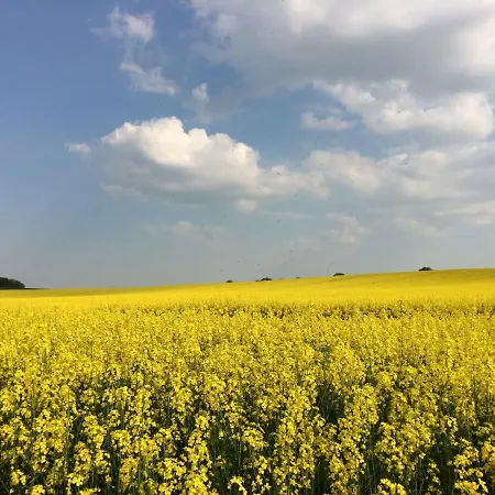 Lindenhof, 1, Giebel Daire *