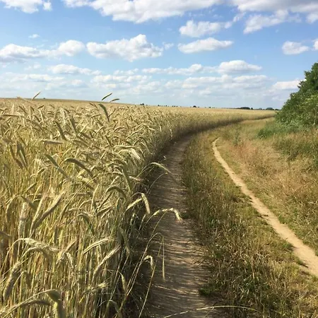 Daire Lindenhof, 1, Giebel
