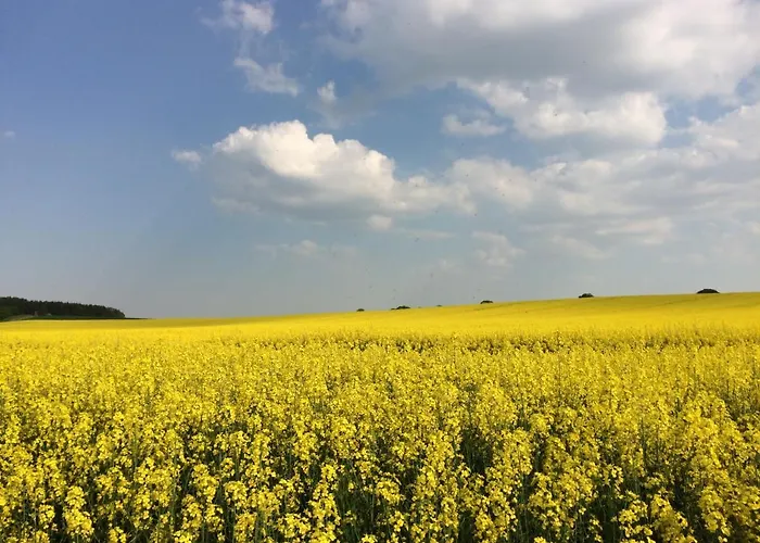 Lindenhof, 1, Giebel Appartement *