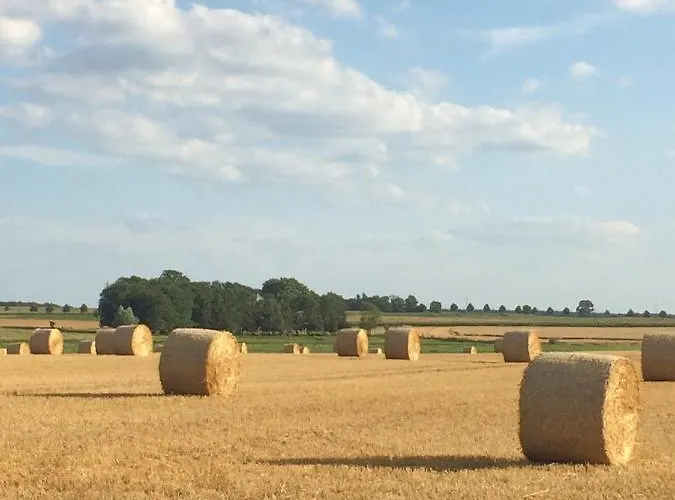Lindenhof, 1, Giebel Appartement *