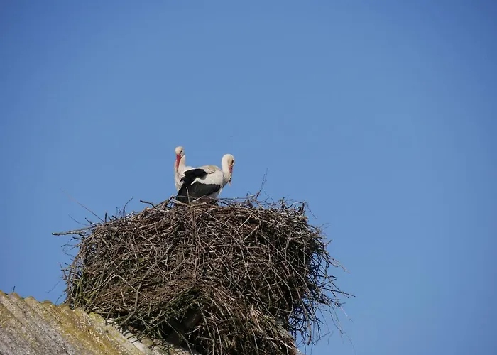 Lindenhof, 1, Giebel Appartement *